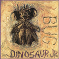 Dinosaur Jr - Bug - LP