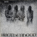 DYS - Brotherhood - LP (40th Anniversary)