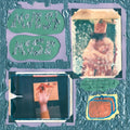 Modest Mouse - Sad Sappy Sucker - LP