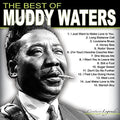 Muddy Waters - Best Of - LP
