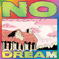 Jeff Rosenstock - No Dream LP (Seafoam)