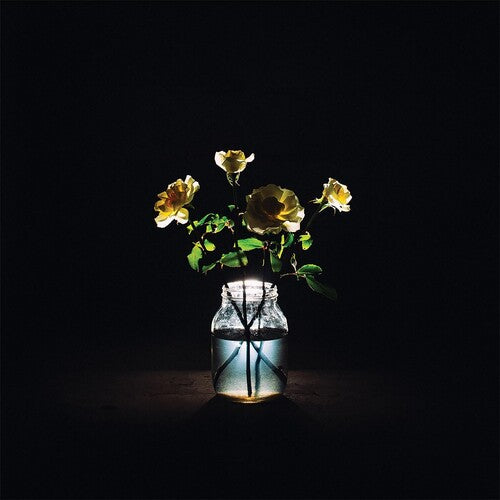 Billy Strings -Renewal - LP (180g)