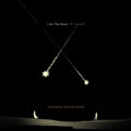 Tedeschi Trucks Band - I Am The Moon IV: Farewell - LP