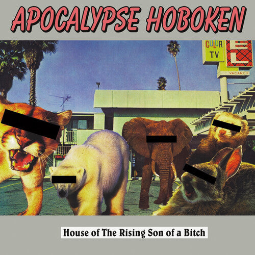 Apocalypse Hoboken - House of The Rising Son of a Bitch LP (Coke Bottle)