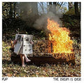 PUP - Dream Is Over - LP