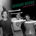 Beggar Weeds - Tragedy In U.S History (Green)