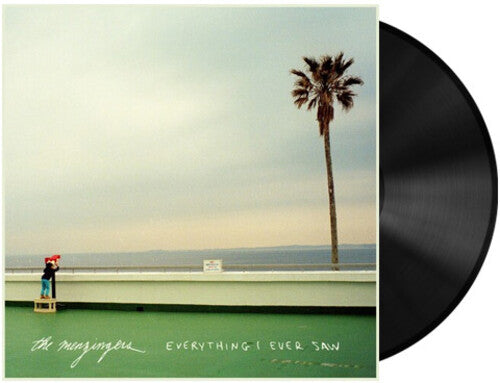 Menzingers - Everything I Ever Saw - LP