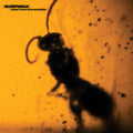 Sleepwalk - View From the Outside - LP
