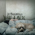 Murderburgers - What A Mess LP (Half pink Half Gray)