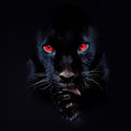 RJ Payne - He's A F**kin Animal - LP (#'d Edition)