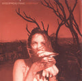 Widespread Panic - Everyday - 2xLP (IEX Maroon/Black)