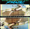 Widespread Panic - Space Wrangler - 2xLP (IEX White/Teal)